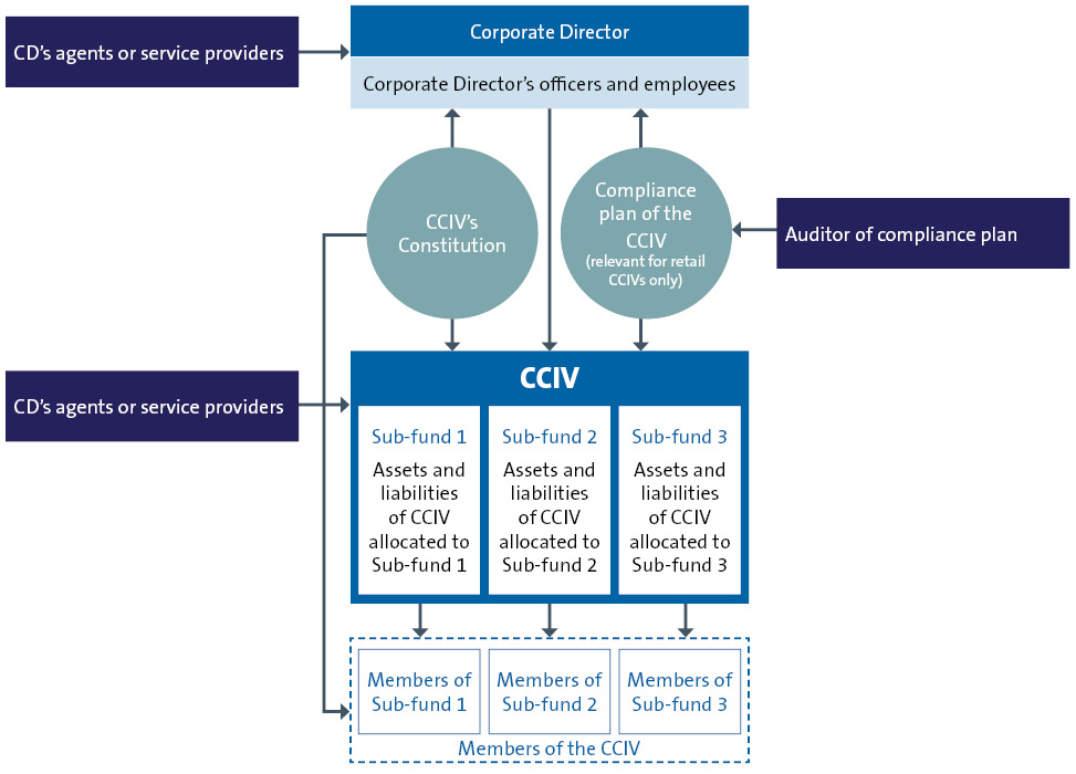 19313D insight CCIV_diagram_D.jpg